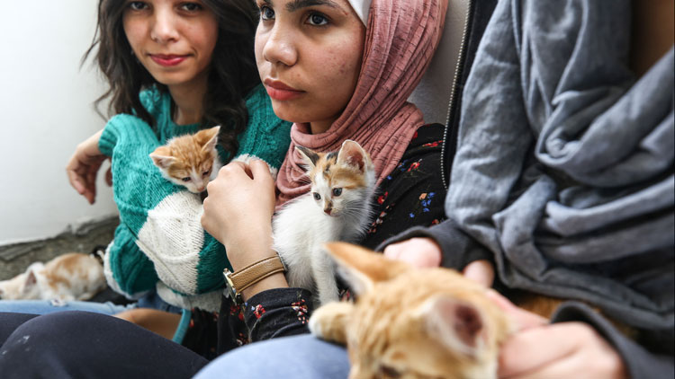 Kemal Tahir Yol Ayrımı Kitabını konuştuk